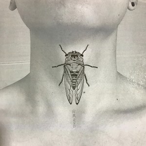 你在月亮里藏着