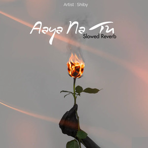 Aaya Na Tu ( Slowed Reverb )