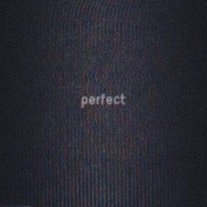 perfect (feat. Jake Buzzard) [Explicit]