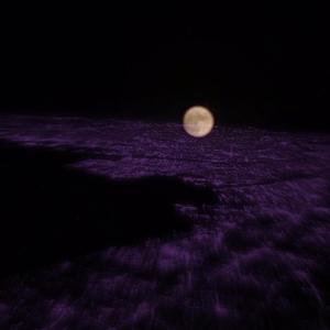 2009 (Explicit)