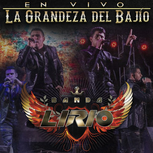 Banda Lirio - Ni el Dinero Ni Nada (En Vivo)