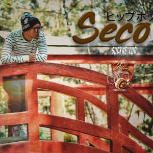 Seco (feat. Suckre LDO) (Explicit)