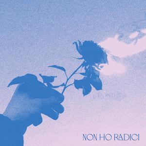 NON HO RADICI (Explicit)