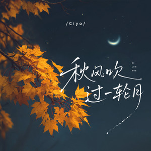秋风吹过一轮月