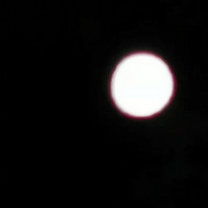 针锋相对（prod.by房间里的大象）