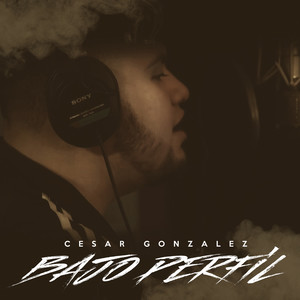 Bajo Perfil