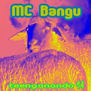 teenganando 14