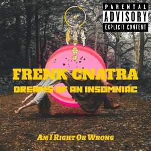 Dreams of an Insomniac (Explicit)