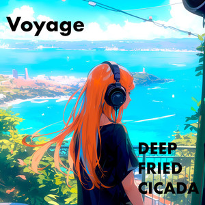 Voyage