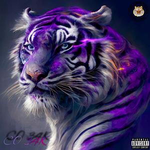 BANG4BRO PURPLE TIGERS ROAMING LONGLIVETHEBLOCK (BONUS TRACKS) [Explicit]