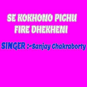 SE KOKHONO PICHU FIRE DHEKHENI