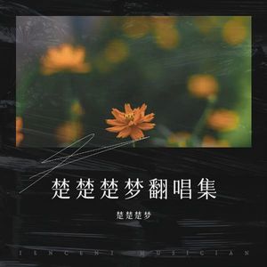 星空叙爱曲封面