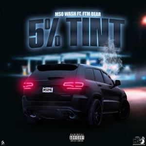 5% Tint (feat. FTM Bear) (Explicit)