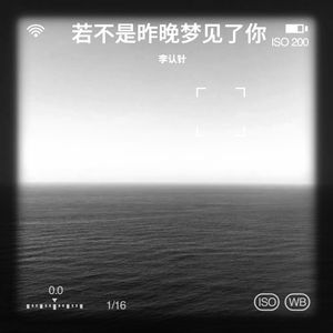 若不是昨晚梦见了你