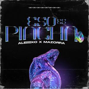 ESO ES PINCHA