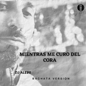 Mientras Me Curo Del Cora (Bachata Version)