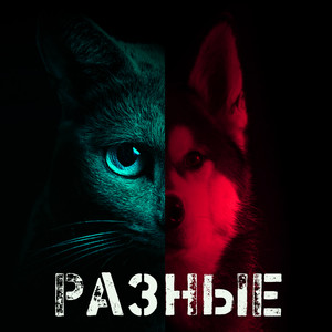 Разные