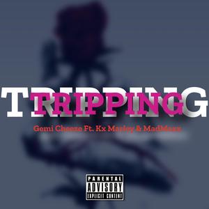 Tripping (feat. Kx Marley & Madmaxx)