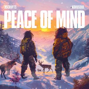 Peace Of Mind (feat. KovuSoul) (Explicit)