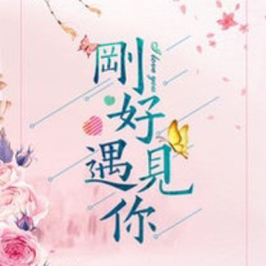 刚好遇见你