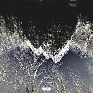 Agony (feat. $urreal) (Explicit)