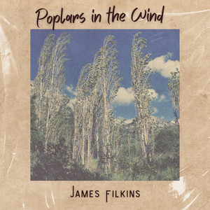 Poplars in the Wind