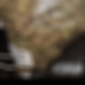 Fast Lane (feat. Dee Loww) (Explicit)