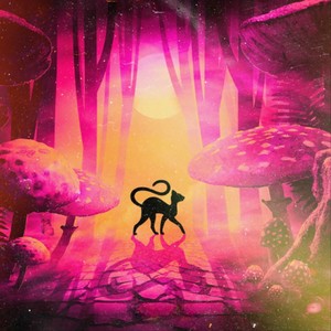 Under Neonljus