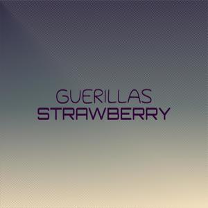 Guerillas Strawberry