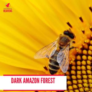 Tranquil Water Flowing