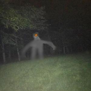 Run into the plains (Demo Version)