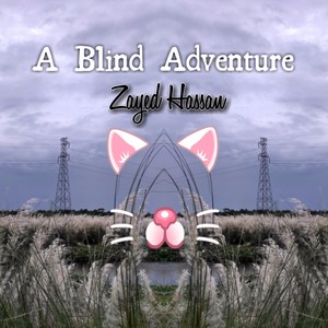 A Blind Adventure