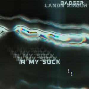 In My Sock (feat. Landn Amour) (Explicit)