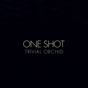 One Shot