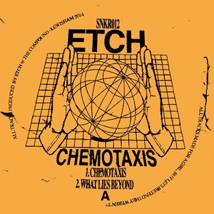 Chemotaxis