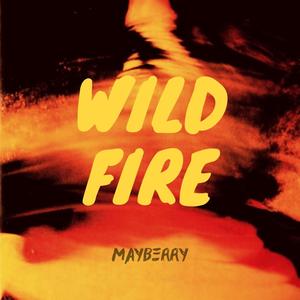 Wildfire