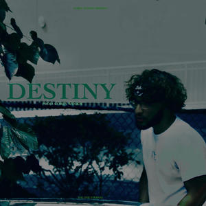 DESTINY (Explicit)