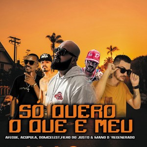 Só Quero no Que É Meu
