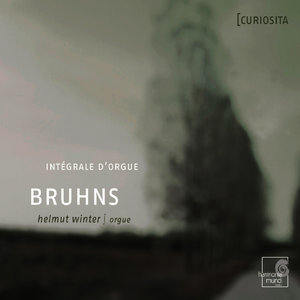 Bruhns & Scheidemann: Organ Works