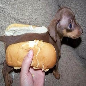 hit or miss (Explicit)