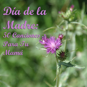 Día de la Madre: 50 Canciones Para Tu Mamá