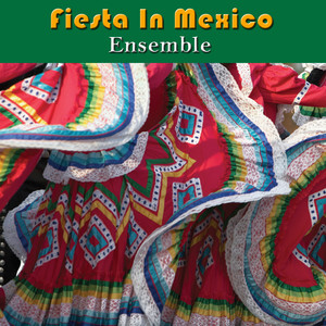 Fiesta In Mexico