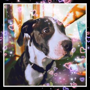 These MF Be Like (Instrumental)