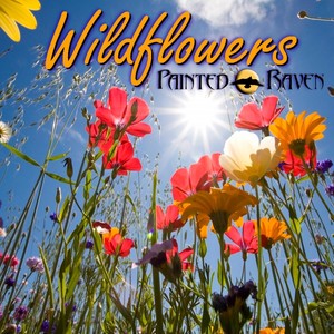 Wildflowers