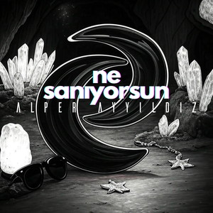 Ne Sanıyorsun