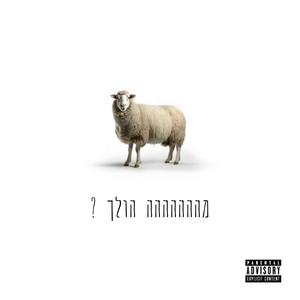 ?מההההההה הולך (Explicit)