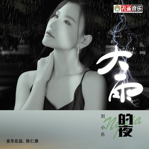 大雨的夜