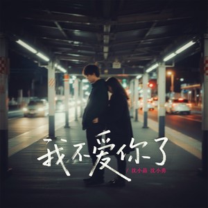我不爱你了