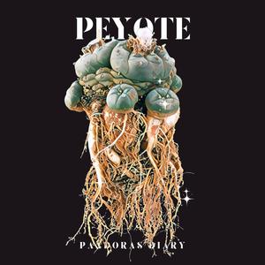 Peyote