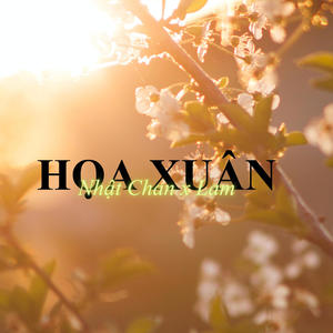 HỌA XUÂN(feat. Lam)